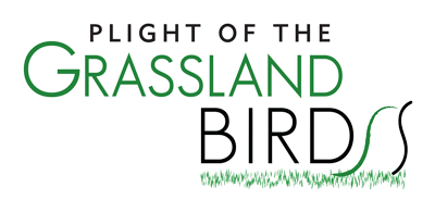 Plight of the Grassland Birds